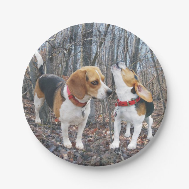 HeulenBeagle u. -freund in der Holz-Papierplatte Pappteller (Vorderseite)