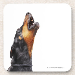Heulender Dobermann Untersetzer