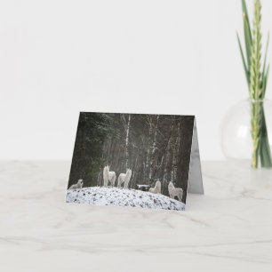 Heulender Wolf Karte