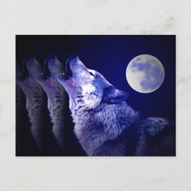 Heulender Wolf Postkarte (Vorderseite)