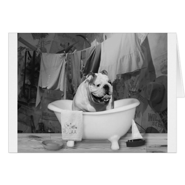 Heure de bain grand collègue (Devant horizontal)