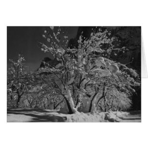 Heure de la nuit d'hiver