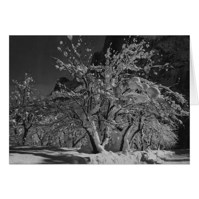 Heure de la nuit d'hiver (Devant horizontal)