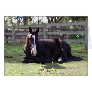 Heure de la sieste des chevaux