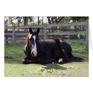 Heure de la sieste des chevaux