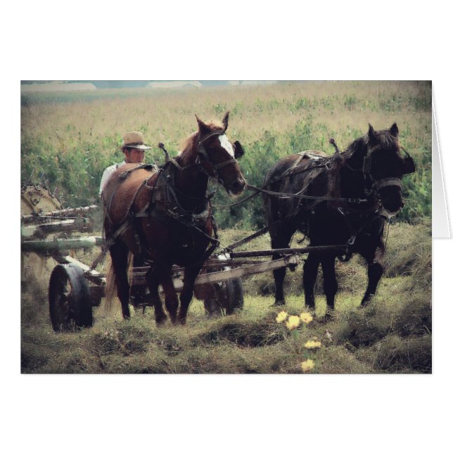 Heure de péage (Devant horizontal)