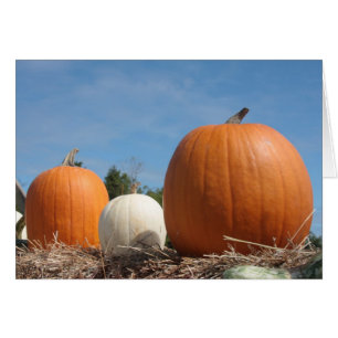 HEURE DE RÉCOLTE ! ! ! !