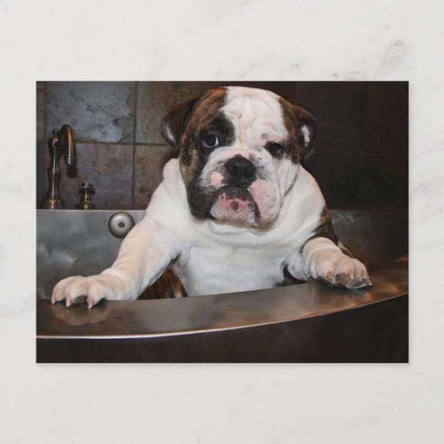 Heure du bain Carte postale (Devant)