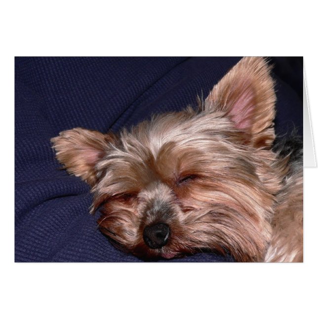 Heure du saut (Devant horizontal)