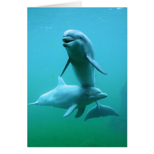 Heures de récréation (Devant)