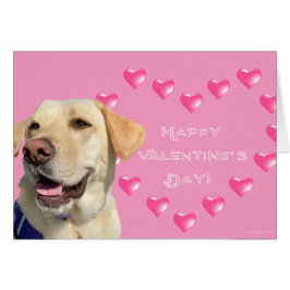 Heureuse Sainte-Valentin Lab Chien Coeurs Love Car
