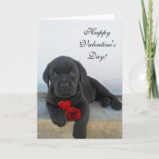 Heureuse Sainte-Valentin Labrador carte chien (Devant)