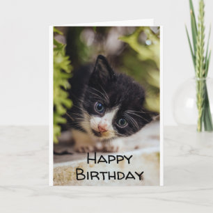 **HEUREUX 7ème anniversaire de KITTY** Carte