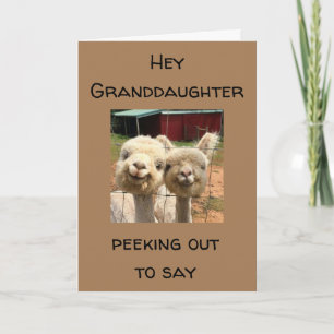 HEUREUX *ANNIVERSAIRE* À MA CARTE * GRAND-FILLE*