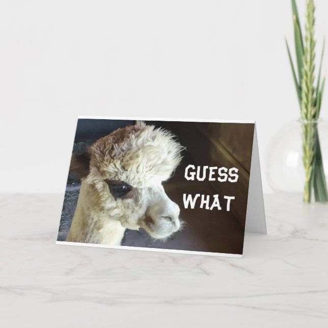 HEUREUX *ANNIVERSAIRE* DIRE CARTE DE LAMA (Devant)