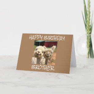 **HEUREUX FRÈRE D'ANNIVERSAIRE** DE LA CARTE CUTE 