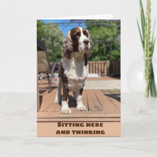 HEUREUX ***JANVIER*** ANNIVERSAIRE À VOUS ! CARTE