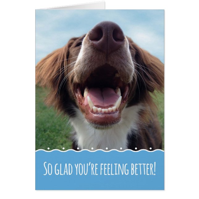 Heureux que tu te sens mieux, chien souriant (Devant)