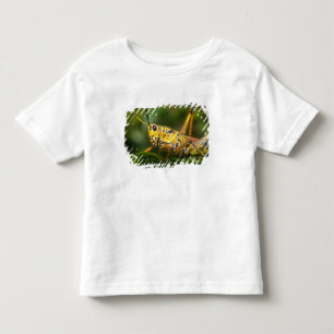 Heuschrecke, Everglades National Park, Florida, Kleinkind T-shirt