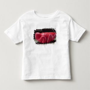 Heuschrecke von Chapultepec, Mexiko, c.1500 (Carn Kleinkind T-shirt
