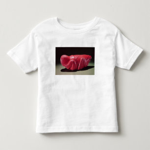 Heuschrecke von Chapultepec, Mexiko, c.1500 (Carn Kleinkind T-shirt