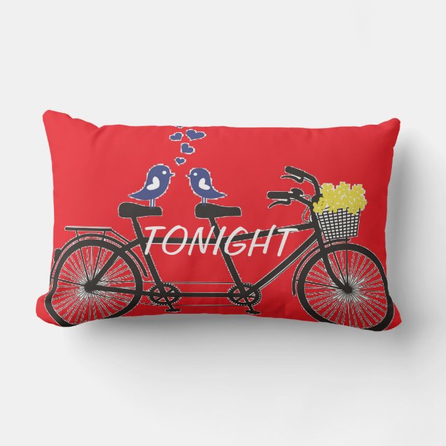 Heute Abend - nicht heute Abend - Liebevögel auf Lendenkissen (Vorderseite)