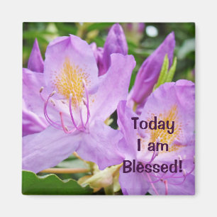 Heute bin ich gesegnet! Magnete Segen Rhodies Magnet