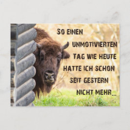 Heute bin ich tierisch unmotiviert! postkarte