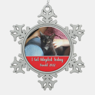 Heute wurde ich adoptiert Schneeflocke Bilderrahme Schneeflocken Zinn-Ornament