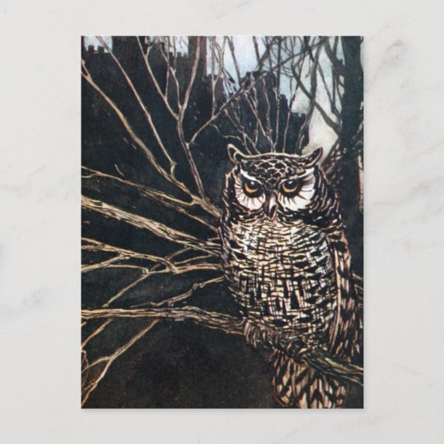 Hexe in Eule-Form Postkarte (Vorderseite)