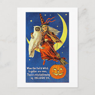 Hexe und Eule im Mondlicht Vintage Halloween Postkarte