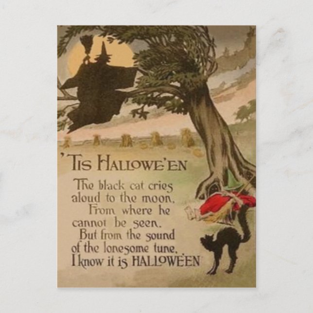 Hexe Vollmond Pumpkin Black Cat Postkarte (Vorderseite)