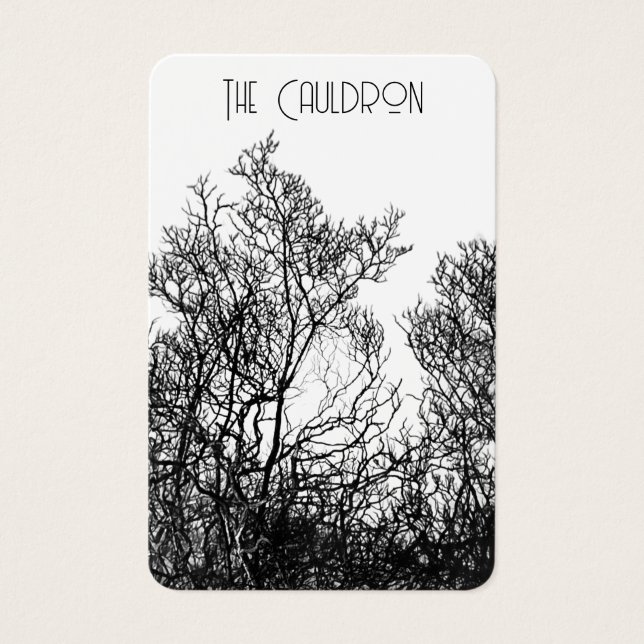 Hexen-Schwarz-Weiß-Ohrhänger-Display (Vorderseite)
