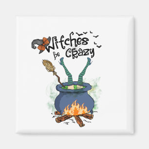 Hexen sind verrückt magnet