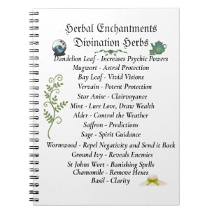 Hexenbuch der Schatten Journal Notizblock