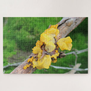 Hexenbutter Myzel-Puzzle
