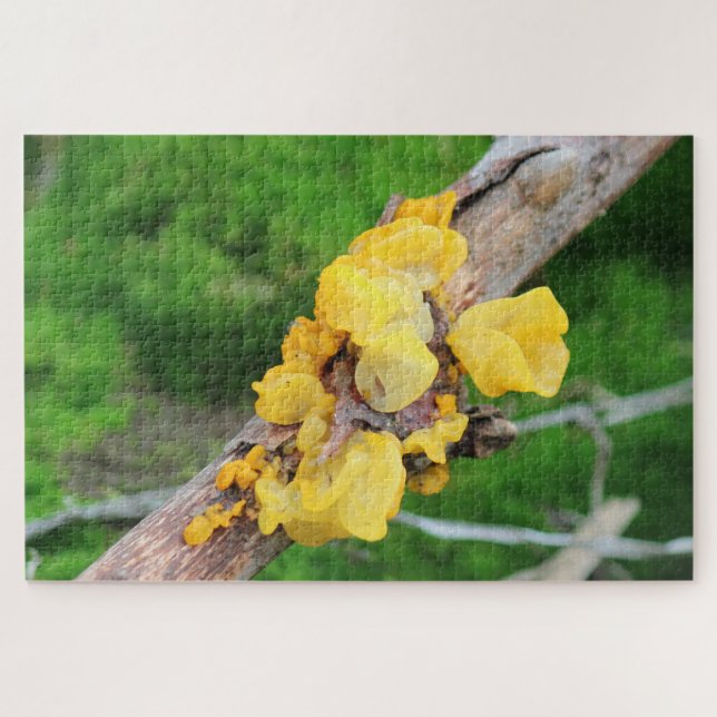 Hexenbutter Myzel-Puzzle (Horizontal)