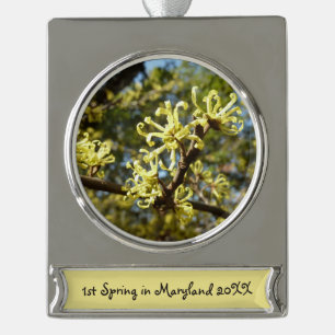 Hexenhazel-Blume Banner-Ornament Silber