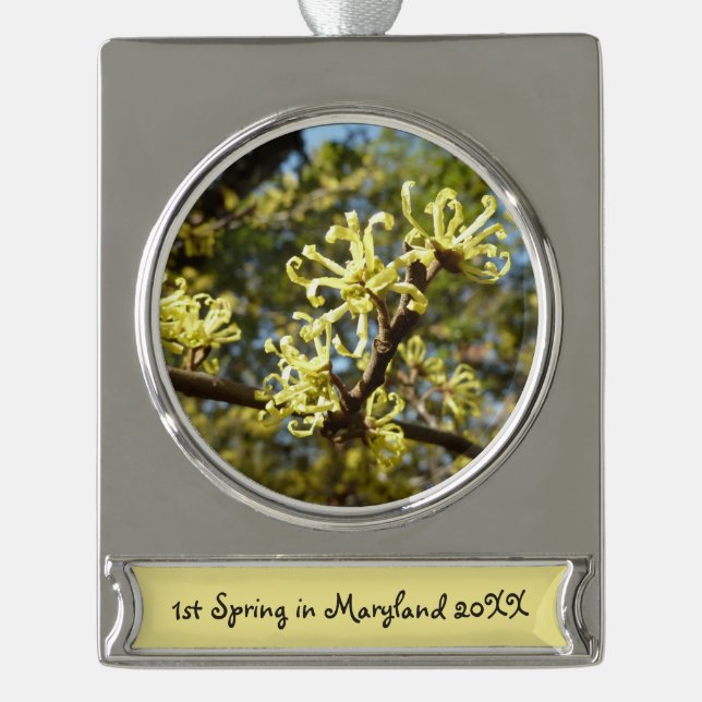 Hexenhazel-Blume Banner-Ornament Silber (Vorderseite)