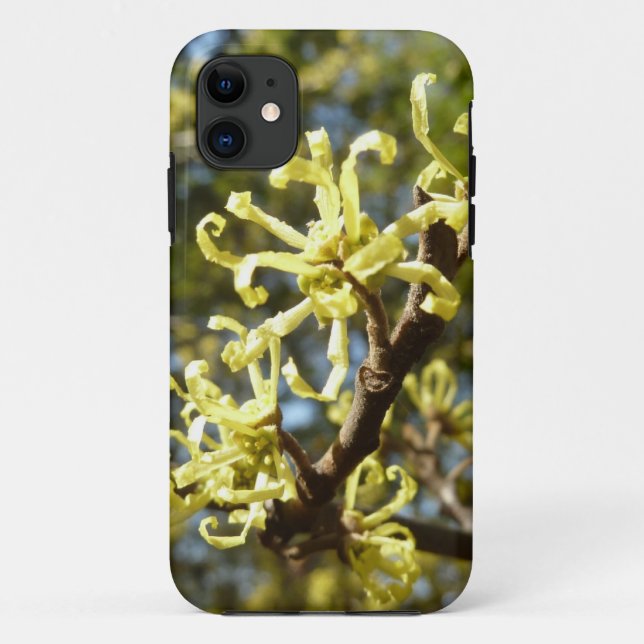 Hexenhazel-Blume Case-Mate iPhone Hülle (Rückseite)