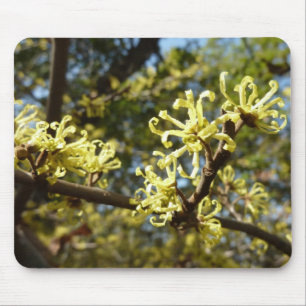 Hexenhazel-Blume Mousepad