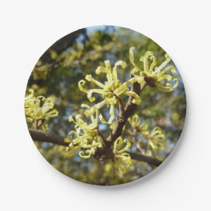 Hexenhazel-Blume Pappteller