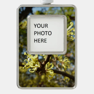 Hexenhazel-Blume Rahmen-Ornament Silber