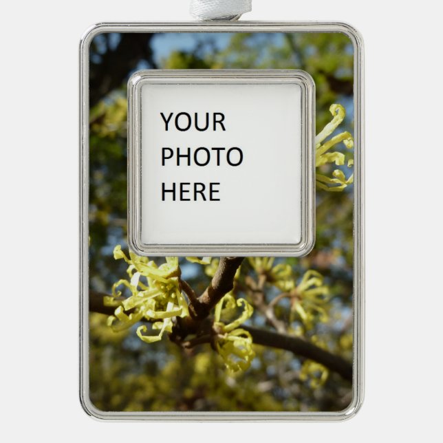 Hexenhazel-Blume Rahmen-Ornament Silber (Vorderseite)