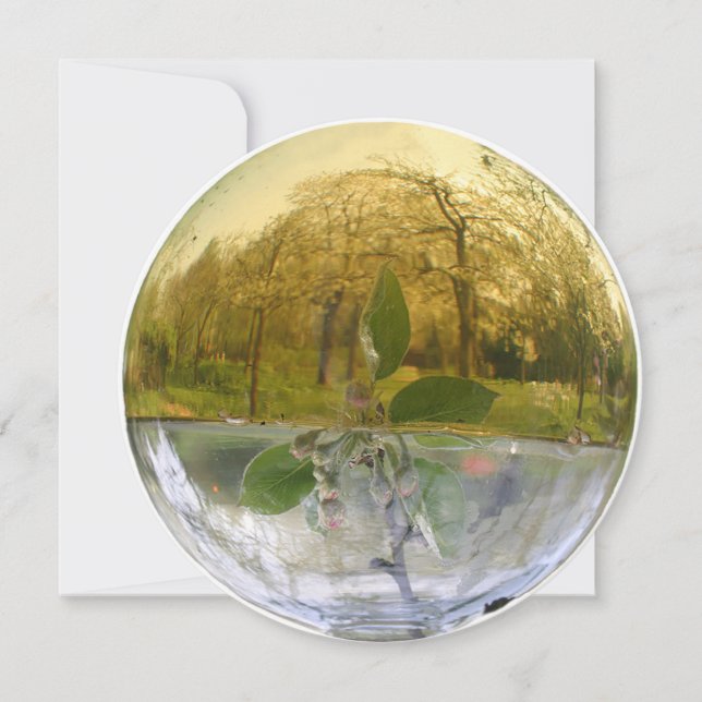 Hexy Blume Essence Dew Vielen Dank Dankeskarte (Vorderseite)