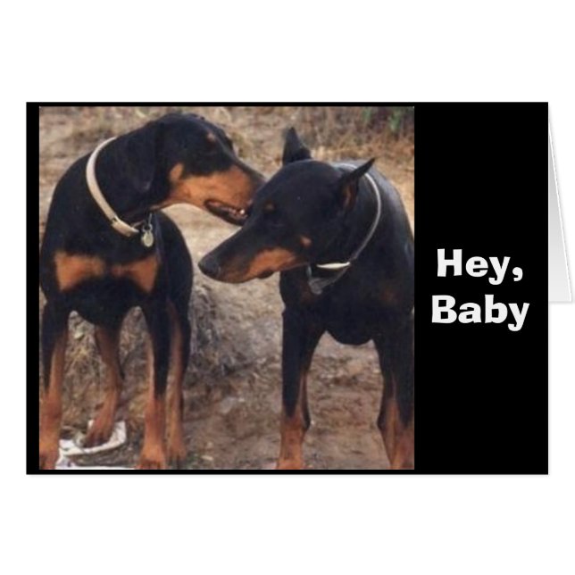 Hey, Baby...! (Vorderseite (Horizontal))