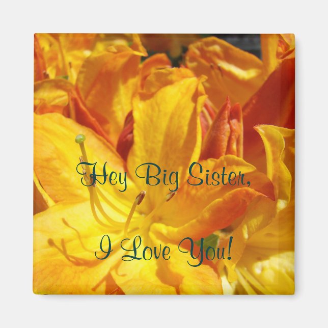 Hey Big Sister I Liebe Sie! Magnet Geschenke Rhodi (Vorne)
