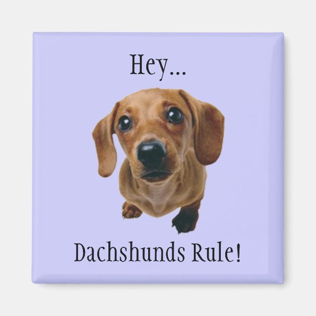 "Hey.. Dackeln Regel!" Magnet (Vorne)