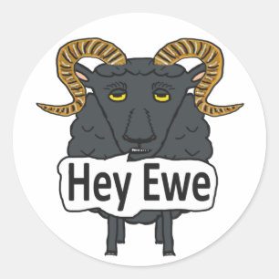Hey Ewe Funny Sheep Pun Runder Aufkleber