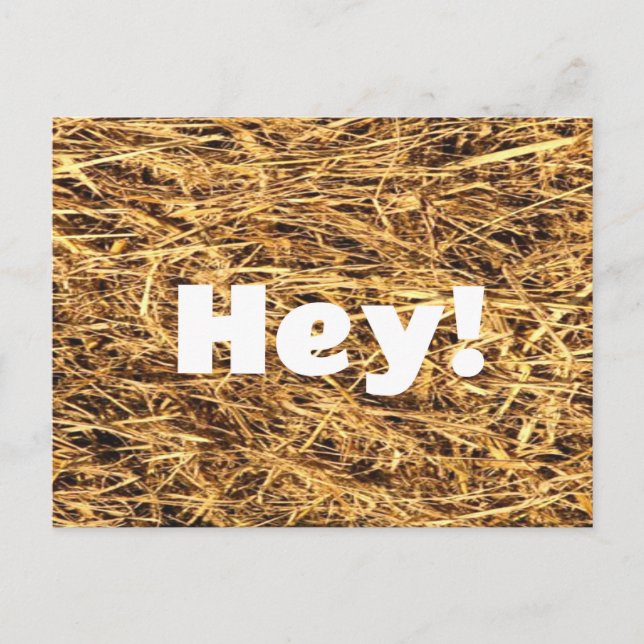 Hey! Hay Postcard Postkarte (Vorderseite)